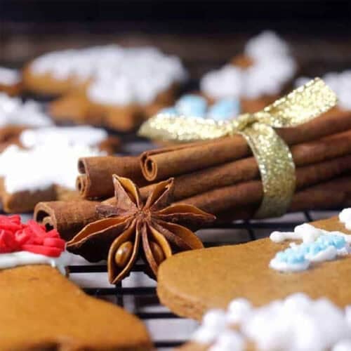 homemade holiday spice recipes.
