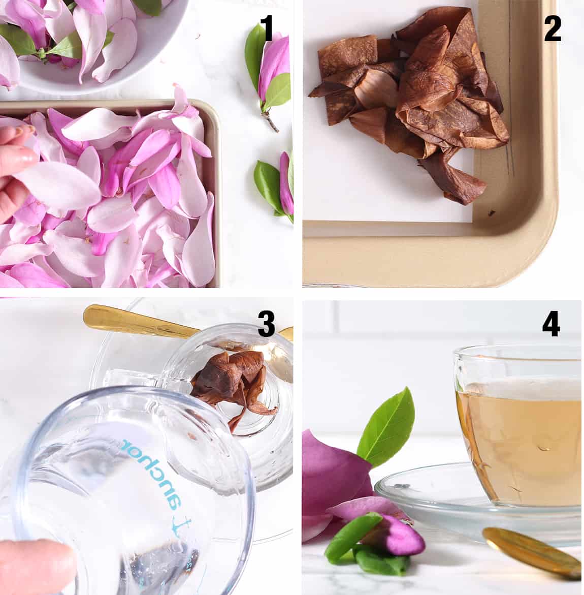 steps to dehydrate magnolia petals to make tea