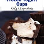 chocolate frozen yogurt cups.