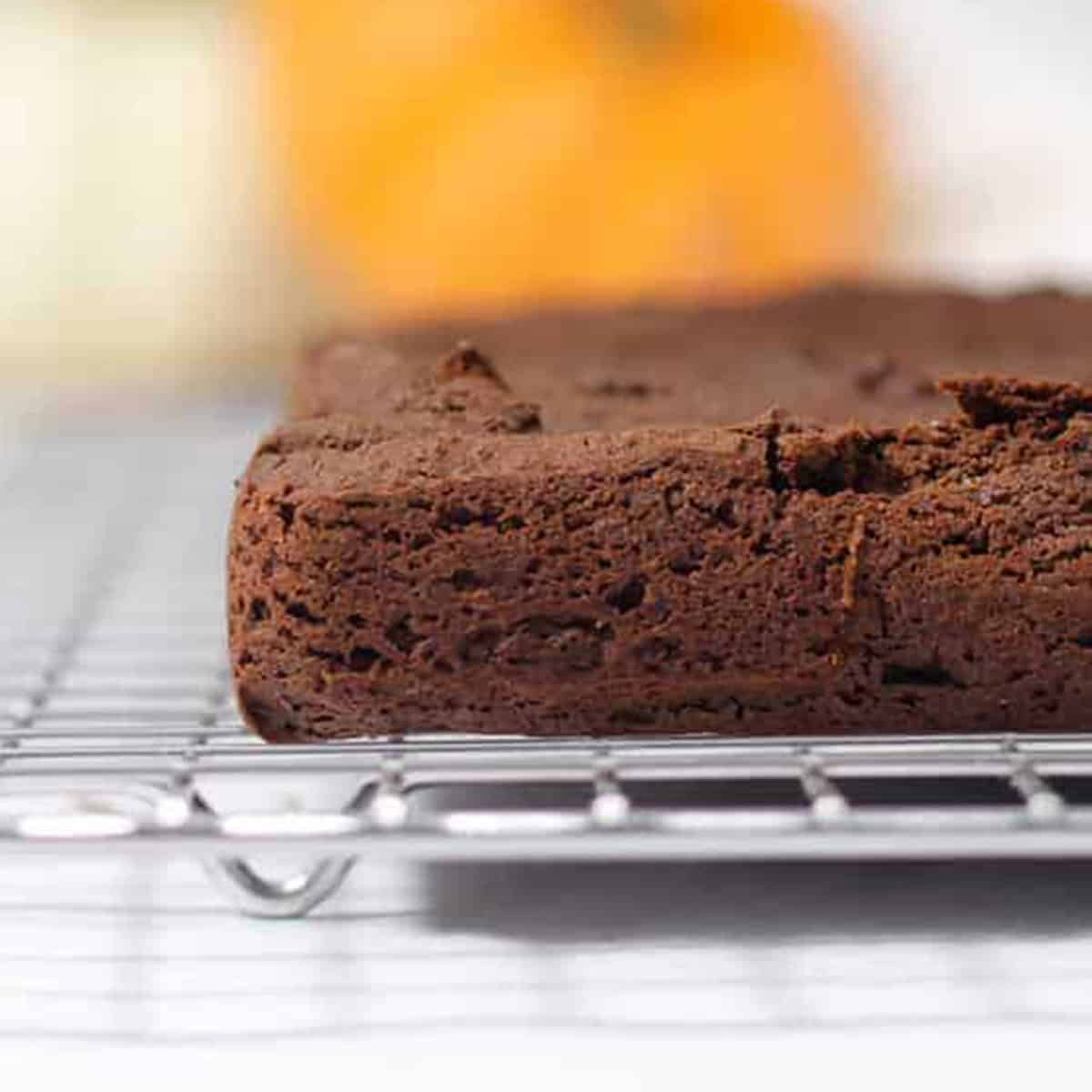 pumpkin brownies baked.