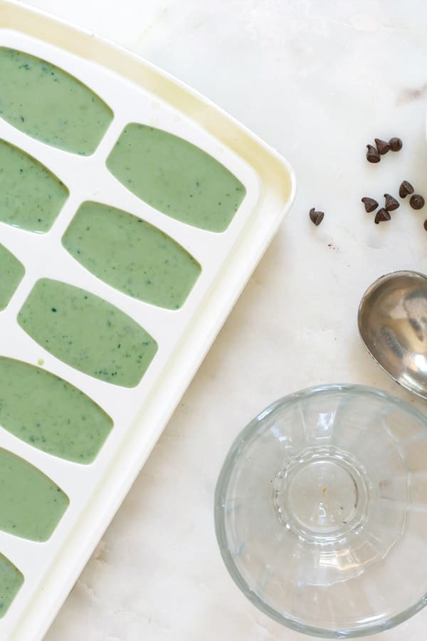 Preparation for making leafy green chocolate chip mint ice cream