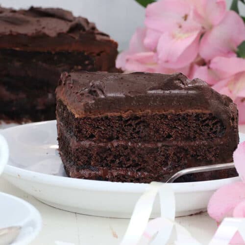 slice of chocolate cake with a pink flower near by