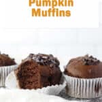 chocolate pumpkin muffin baked in pan.