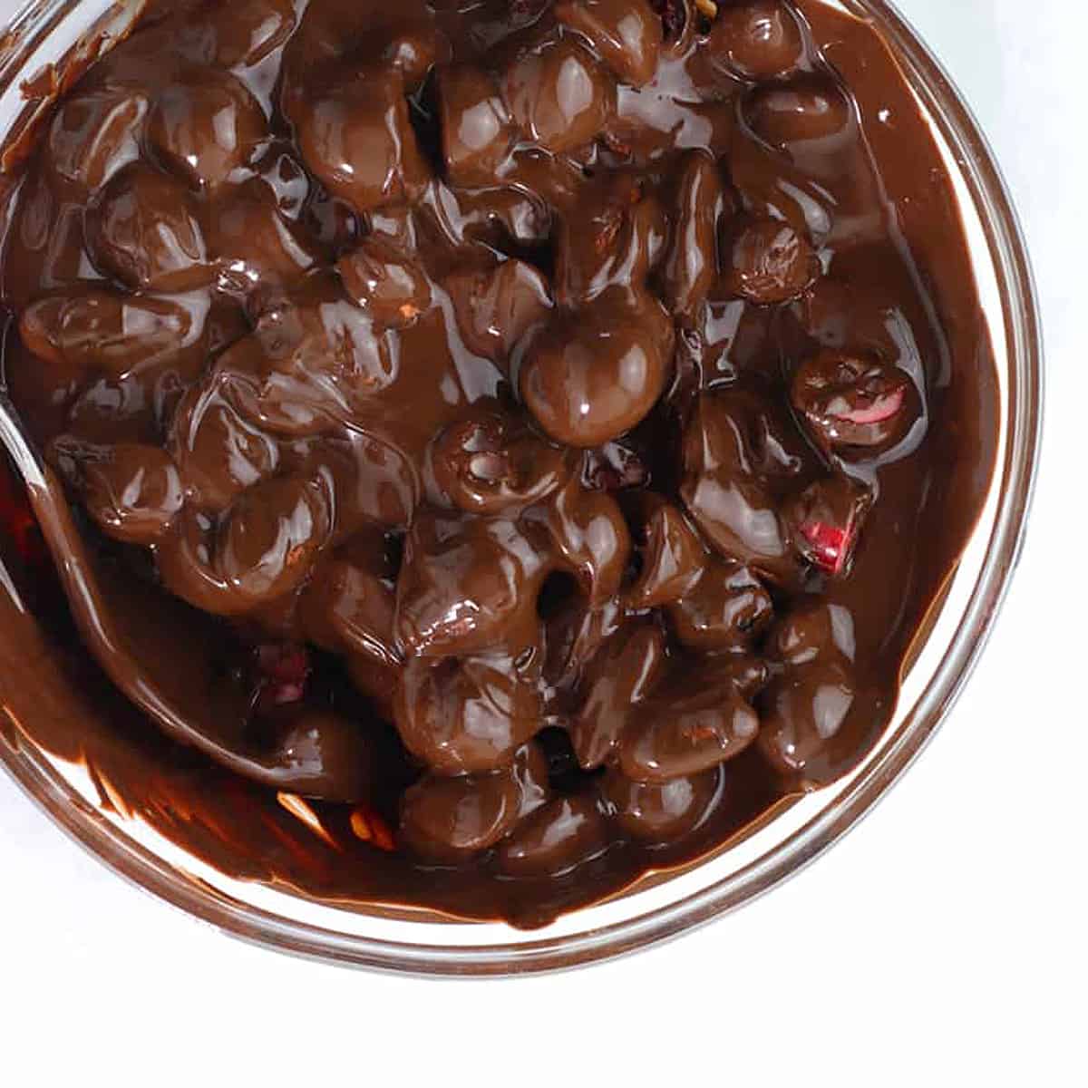 chocolate covered cranberries in a bowl