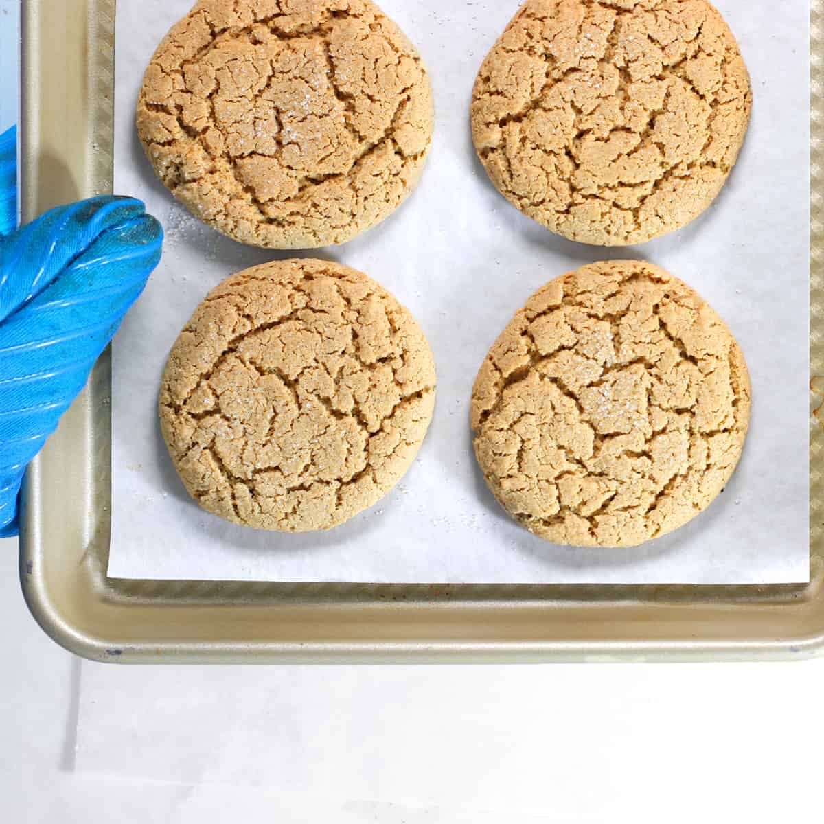 baked healthy sugar cookies on a pan with a glove holding it.
