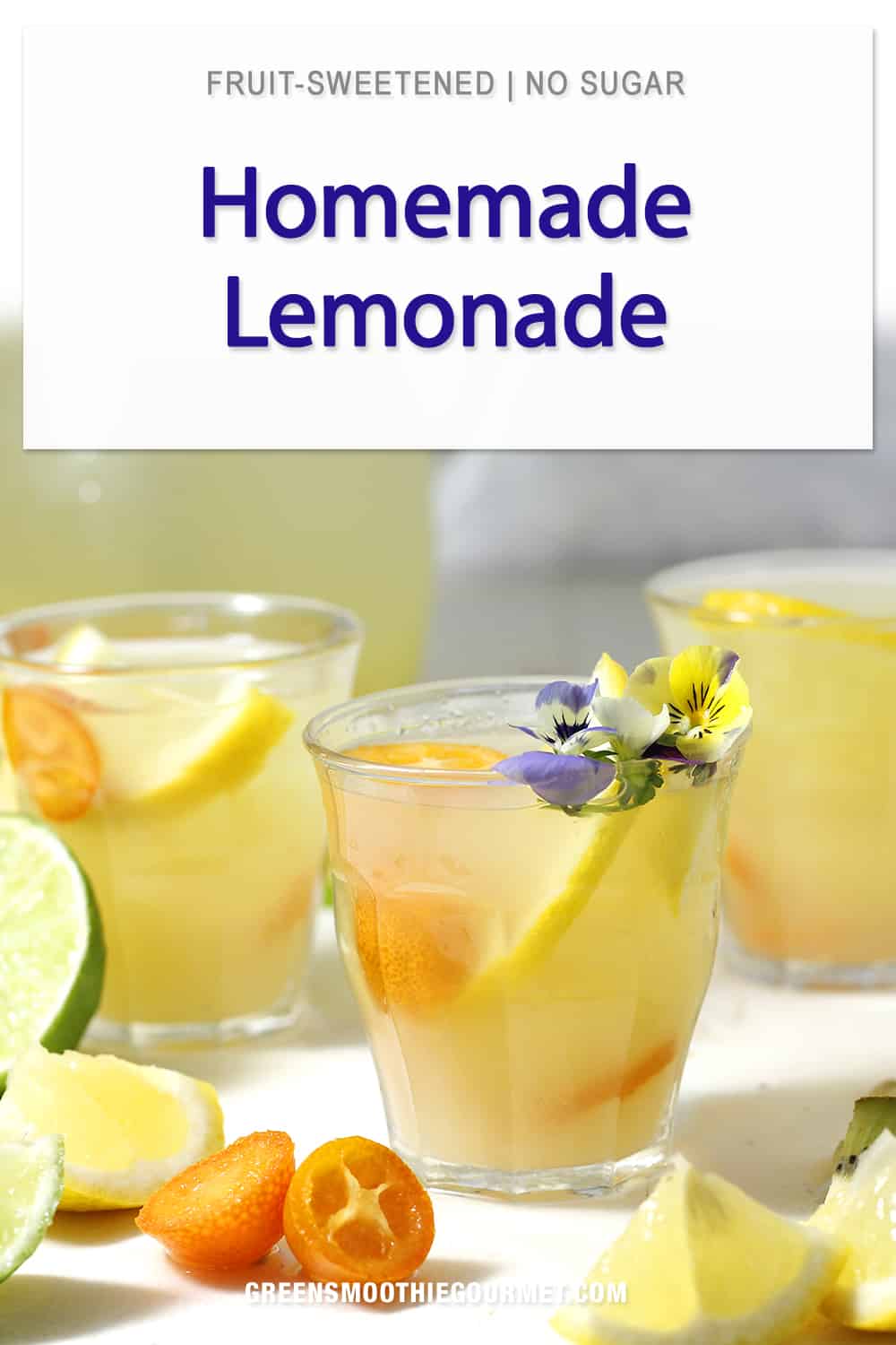 Fruit Lemonade (homemade)