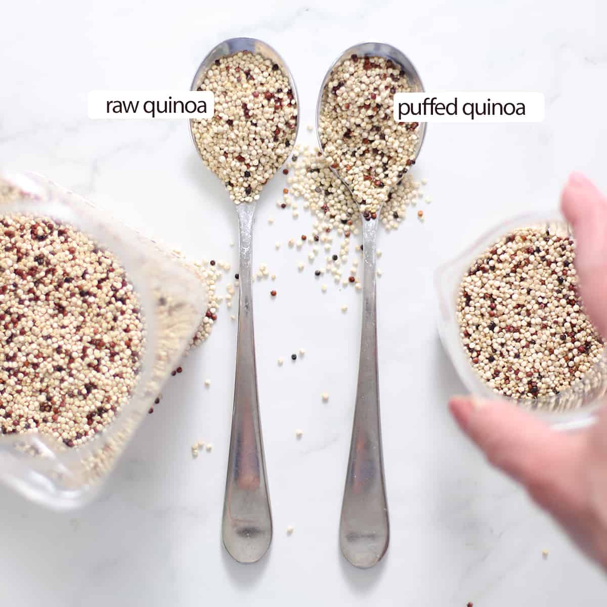 Confronto tra quinoa cruda e spuntata