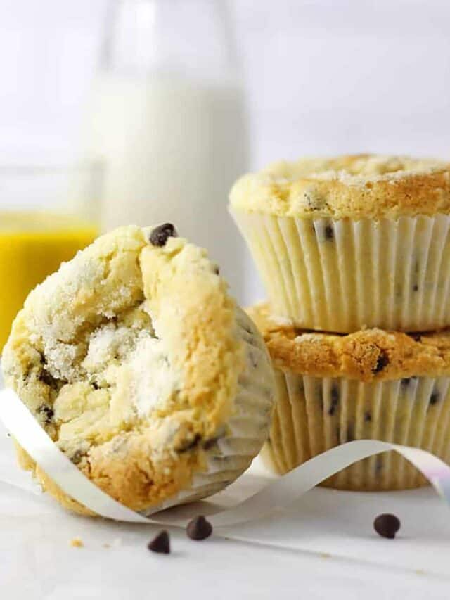 Healthy Chocolate Chip Muffins with Applesauce