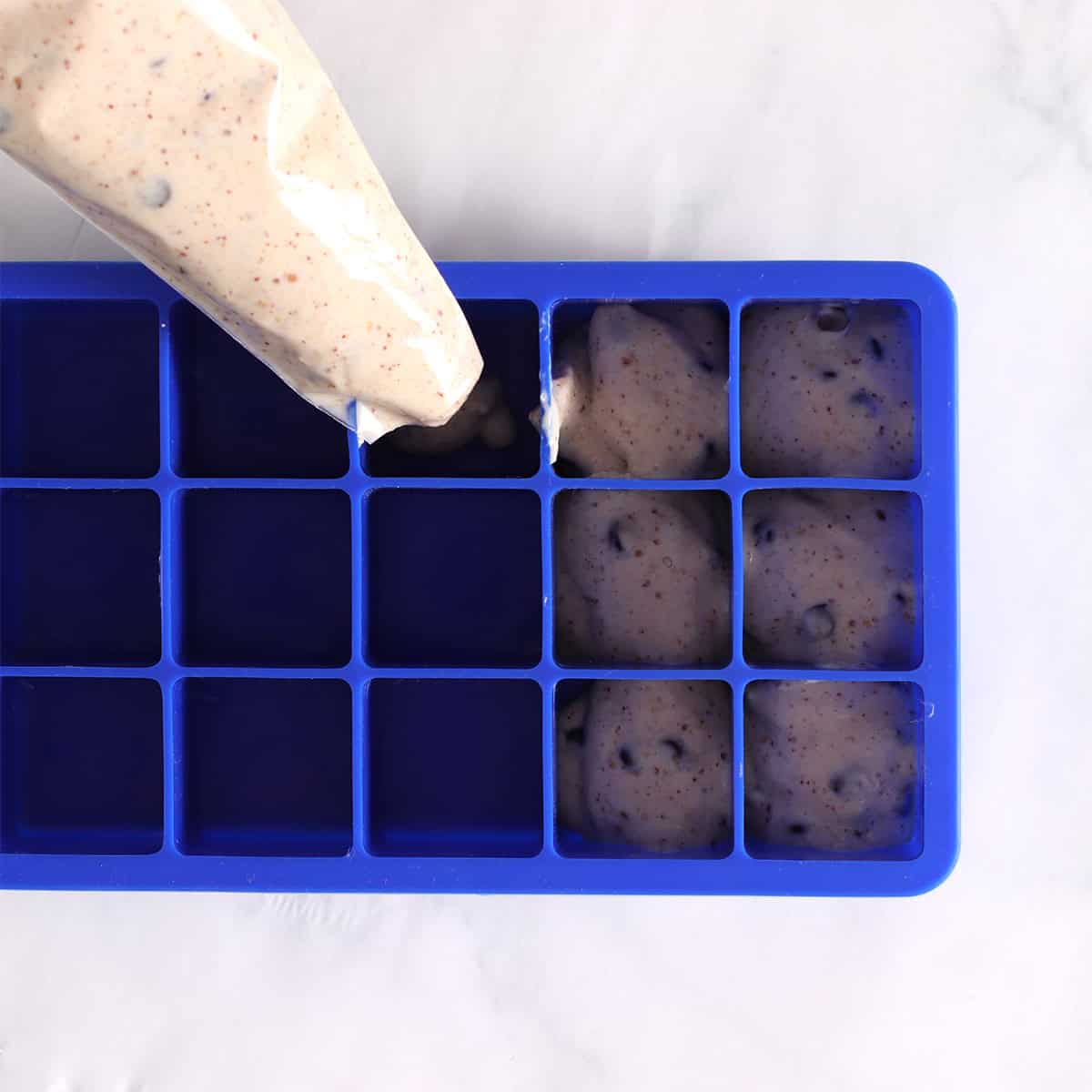 fill ice cube trays with frozen yogurt bites mixture in frosting bag.