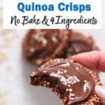 chocolate quinoa crisps.