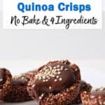 chocolate quinoa crisps.