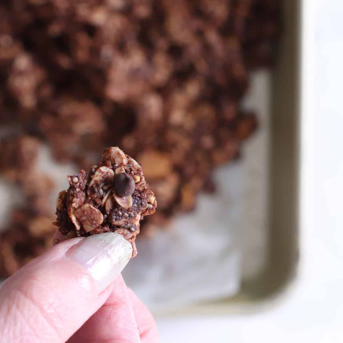 chocolate cookie granola