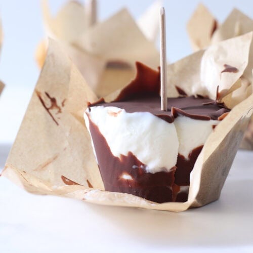 brownie vanilla ice cream freezer cups.