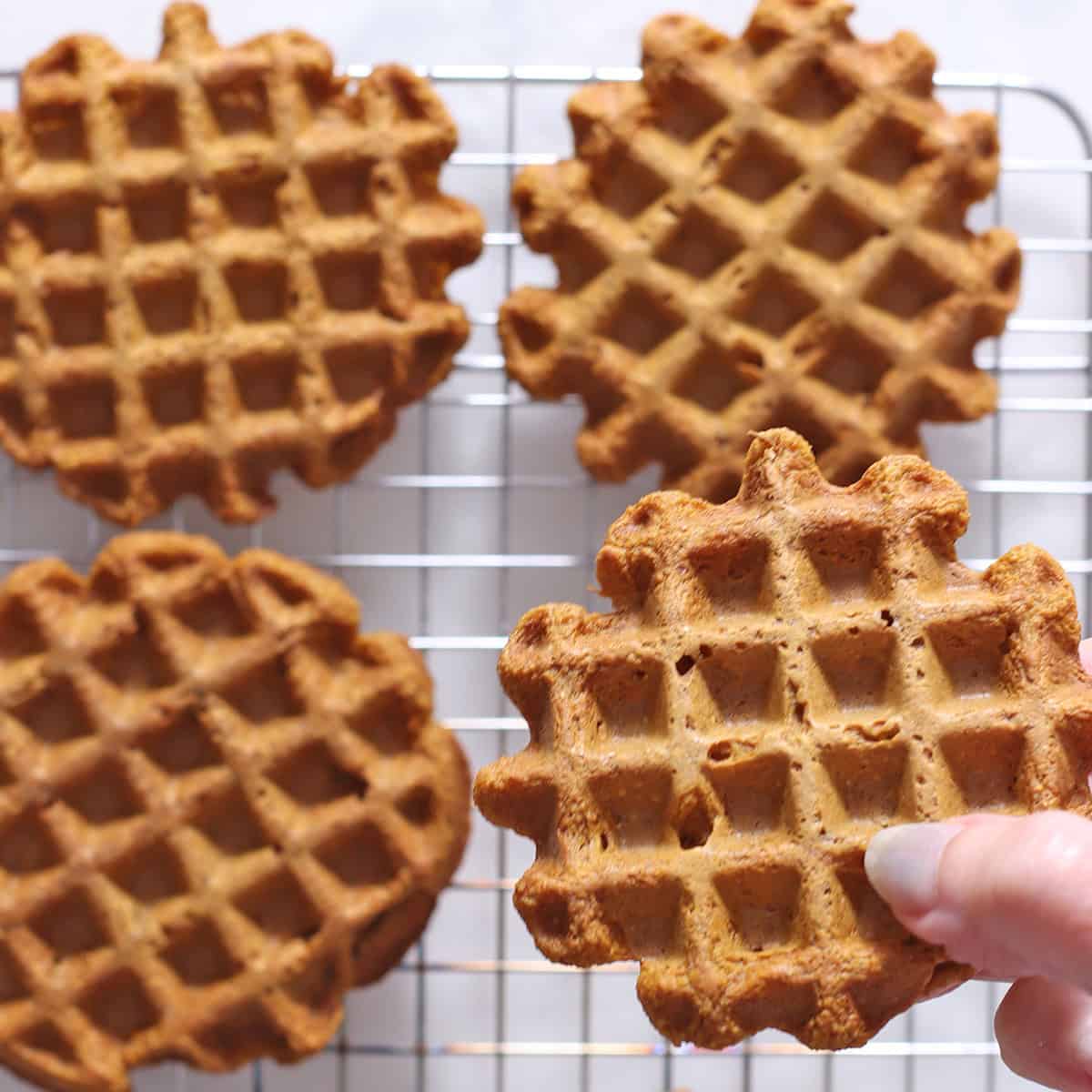 Pumpkin waffles.